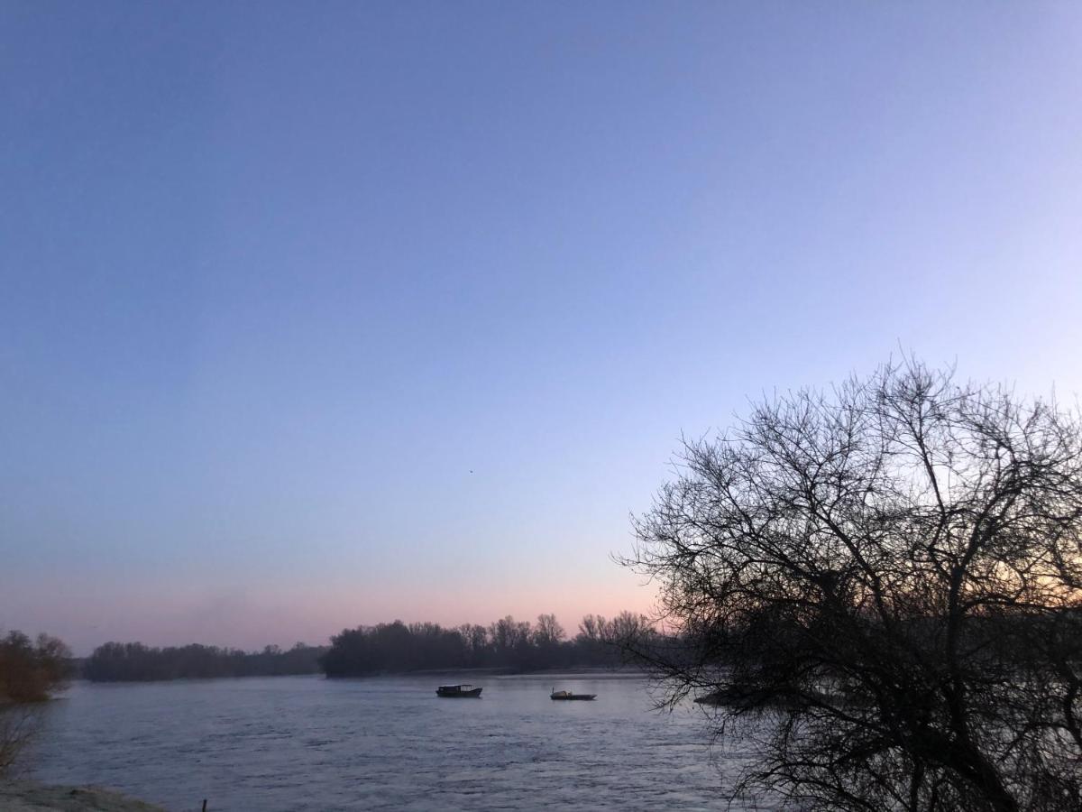 Hotel De La Loire サン・サトゥル エクステリア 写真