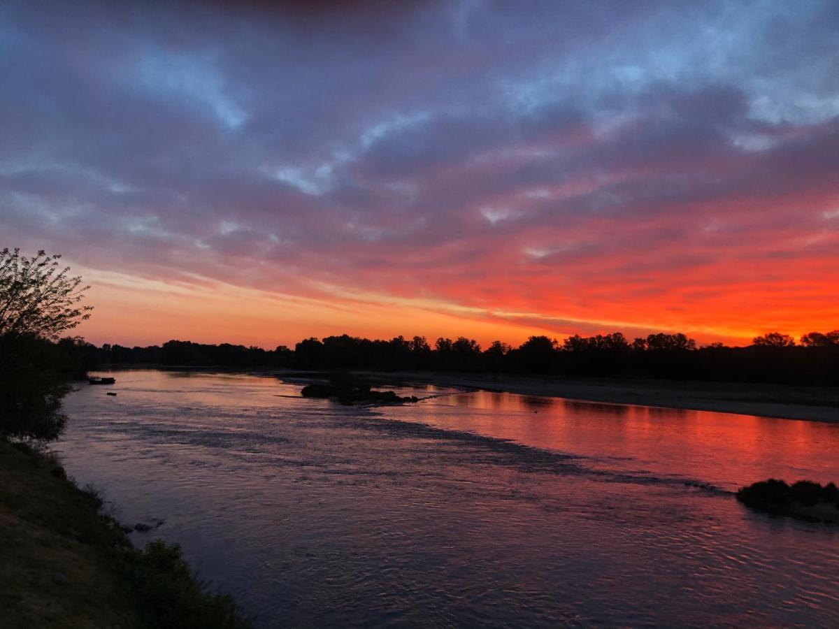 Hotel De La Loire サン・サトゥル エクステリア 写真
